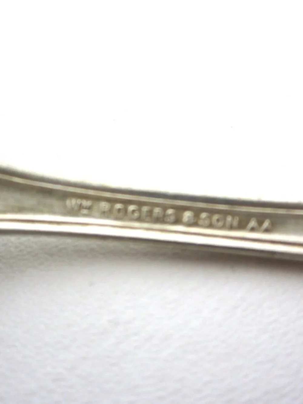 ARBUTUS International Wm Rogers & Son Silverplate Lot Set 4 Tablespoons 7 1/8